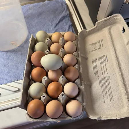 Just Like Rum i privatbostad Porsgrunn