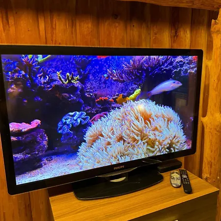 Just Like * بورشغرون