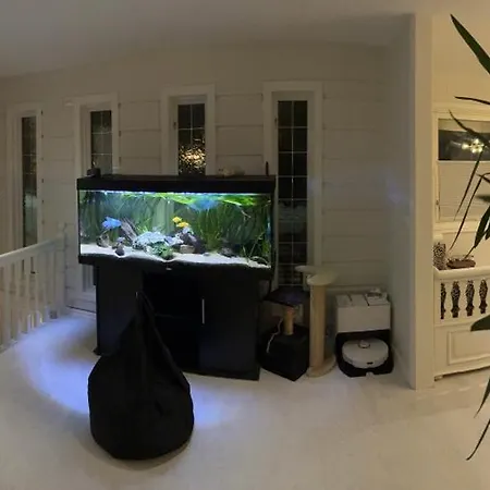 Just Like * بورشغرون